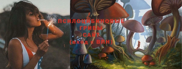 соль ск Алексин