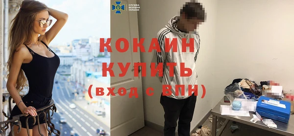 соль ск Алексин