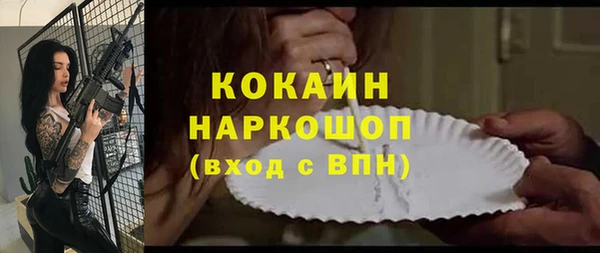 соль ск Алексин