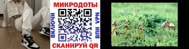 купить наркоту  Удачный  Галлюциногенные грибы MAGIC MUSHROOMS 